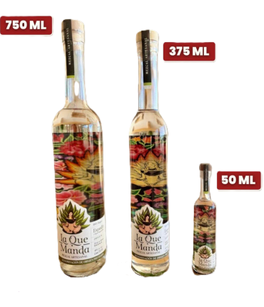 WhatsApp Image 2026-03-10 at 8.25.16 PM