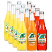 Jarritos Different Flavors (12OZ) 24 case