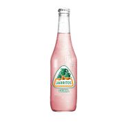 Jarritos Different Flavors (12OZ) 24 case