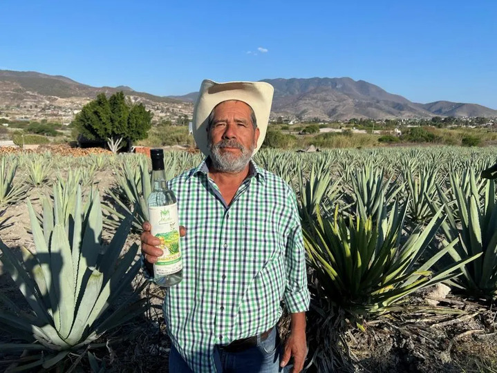 mezcal news (1)